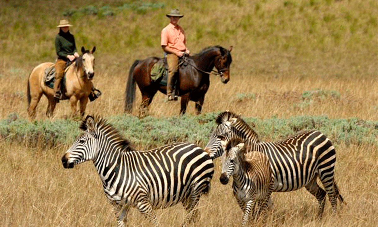 circuit_principale_15_Malawi_Nyika_Horseback_Safari_01.gif