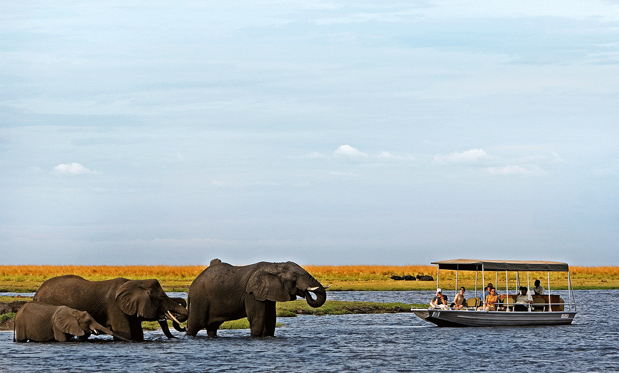 AK-Taylor-Safari-Botswana-Elephant-Okavango-Delta-Boat.gif