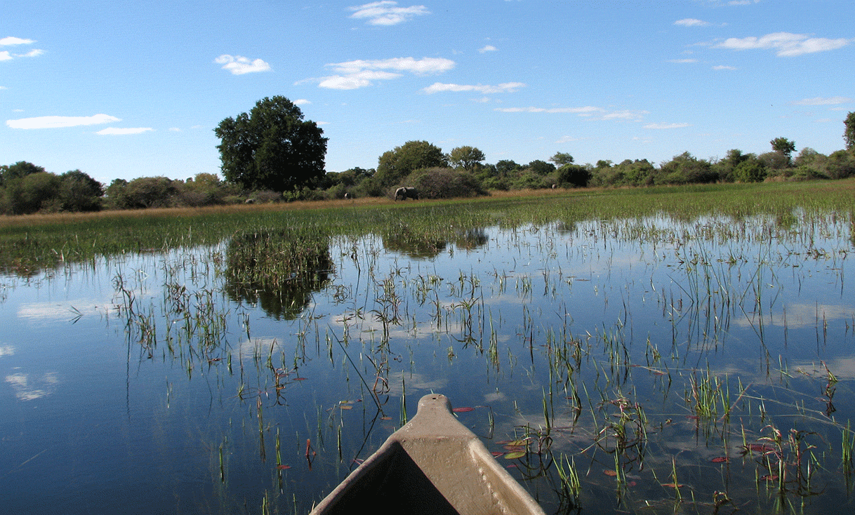 AK-Taylor-Safari-Botswana-Elephant-Okavango-Delta-Canoe-Elephant.gif