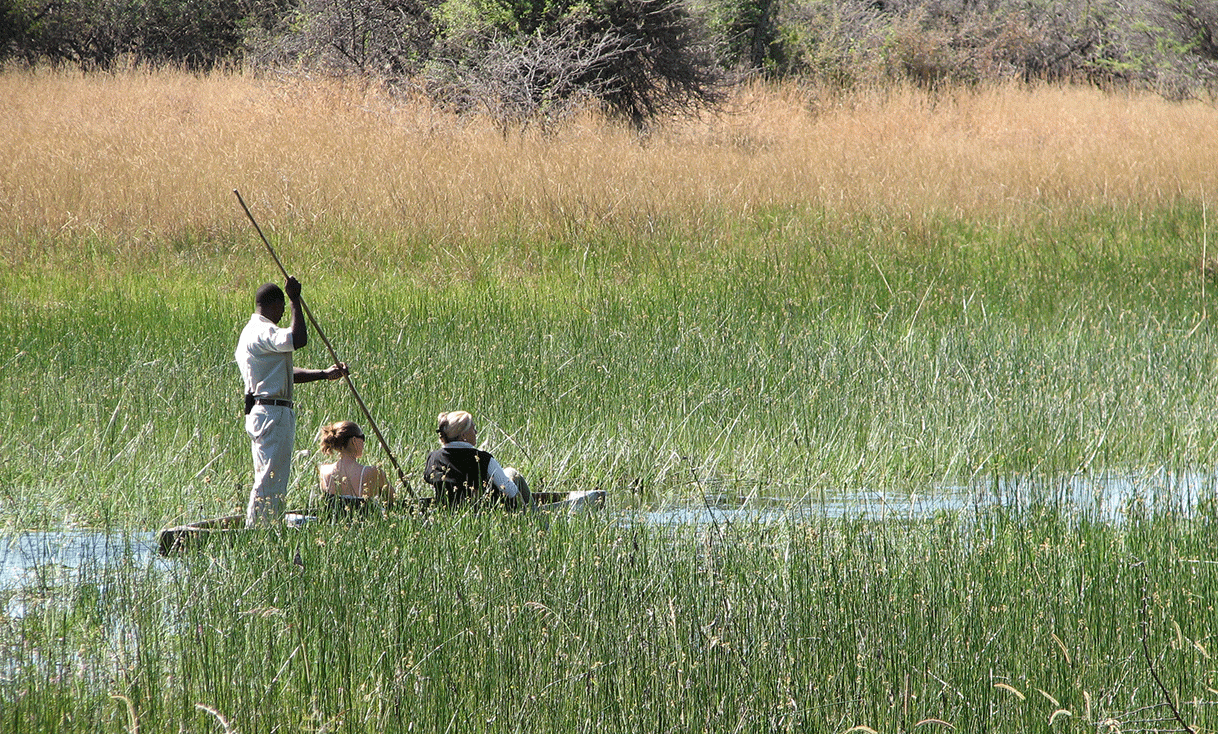 AK-Taylor-Safari-Botswana-Elephant-Okavango-Delta-Marsh-pole-canoe.gif