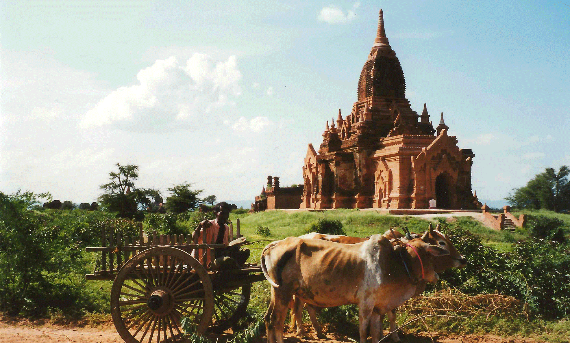 AK-Taylor-Safari-Myanmar-Temple-Cart.gif