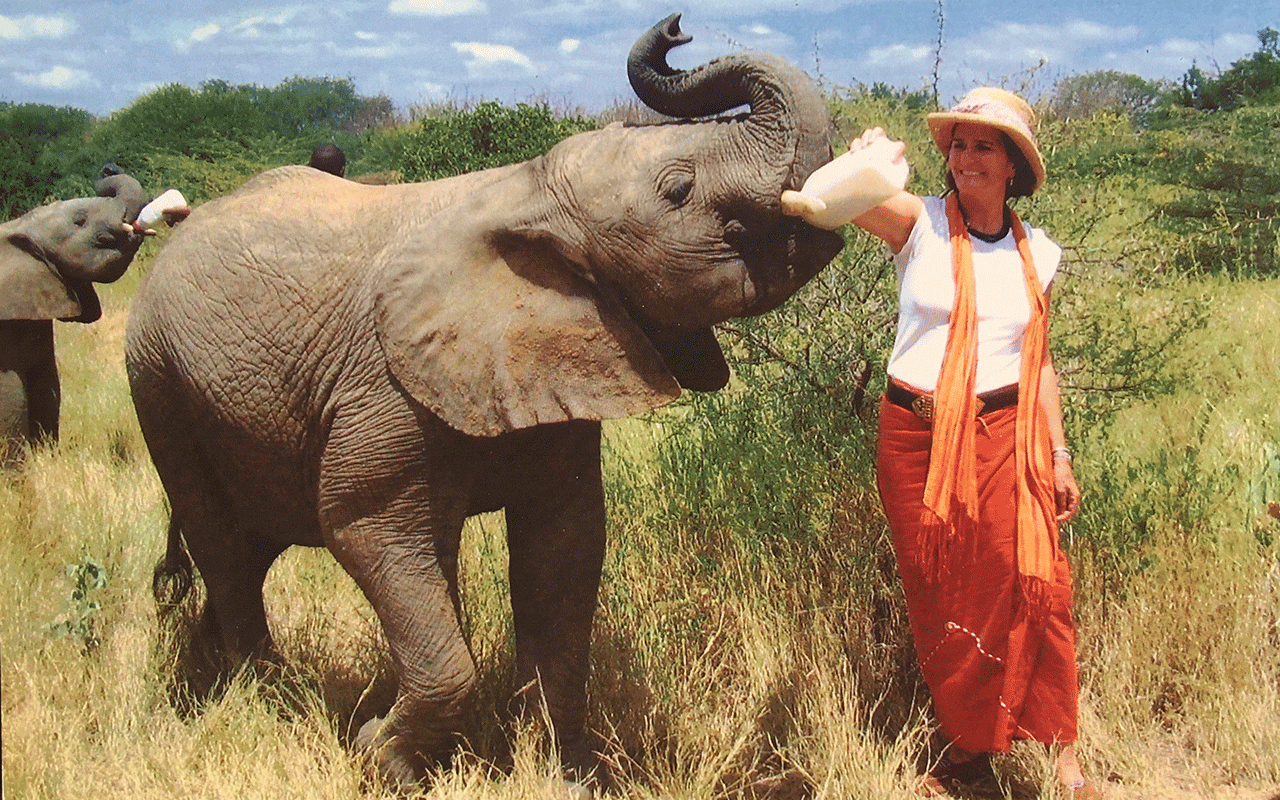 AK-Taylor-Safari-Travel-Kenya-Anne-Elephant-Orphanage.gif