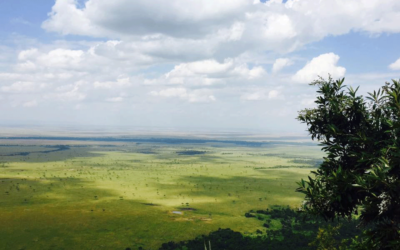 AK-Taylor-Safari-Travel-Kenya-Maasai-Mara.gif