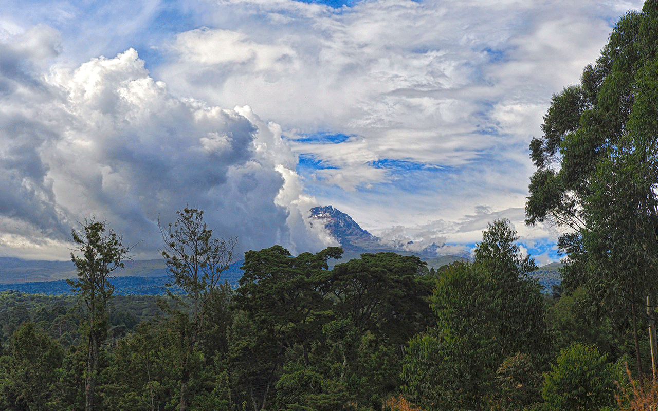 AK-Taylor-Safari-Travel-Tanania-Mount_Kilimanjaro_peeking_through_the_clouds.gif