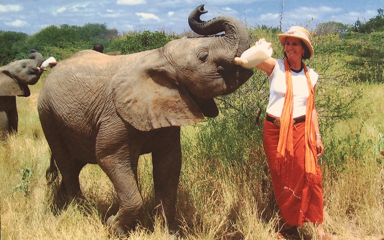 AK-Taylor-Safari-Travel-Kenya-Anne-Elephant-Orphanage copy.gif