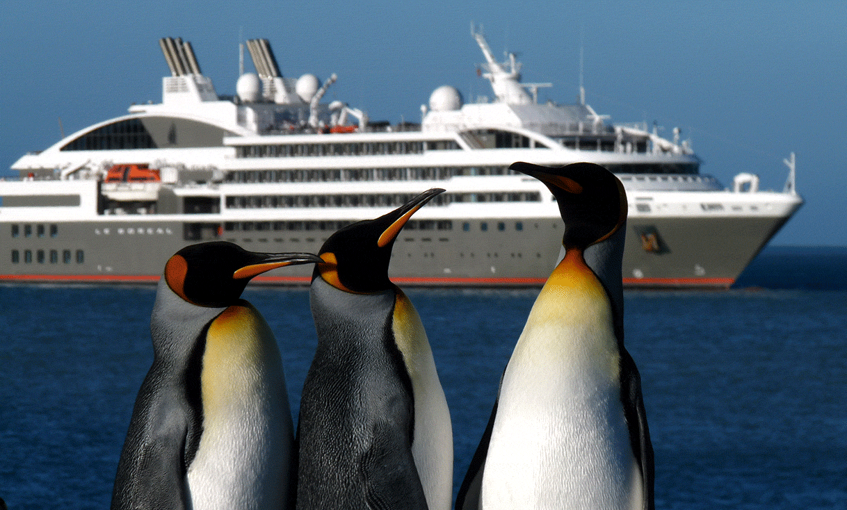 AK-Taylor-Travel-Antarctica-Penguins-Cruise-Ship copy.gif