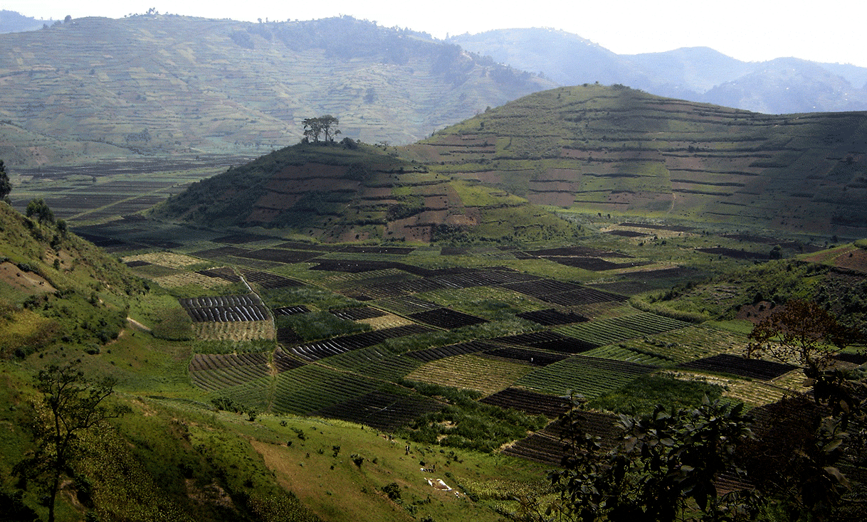 AK-Taylor-Travel-Rwanda-Landscape.gif