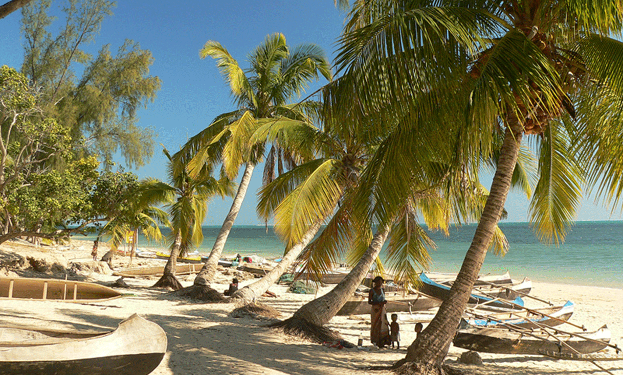 ak-taylor-travel-Madagascar-beach_with_pirogues_and_palm_trees.gif