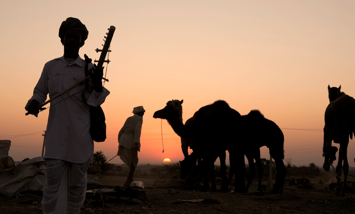 ak-taylor-travel-india-Pushkar_Fair_Sunset.gif