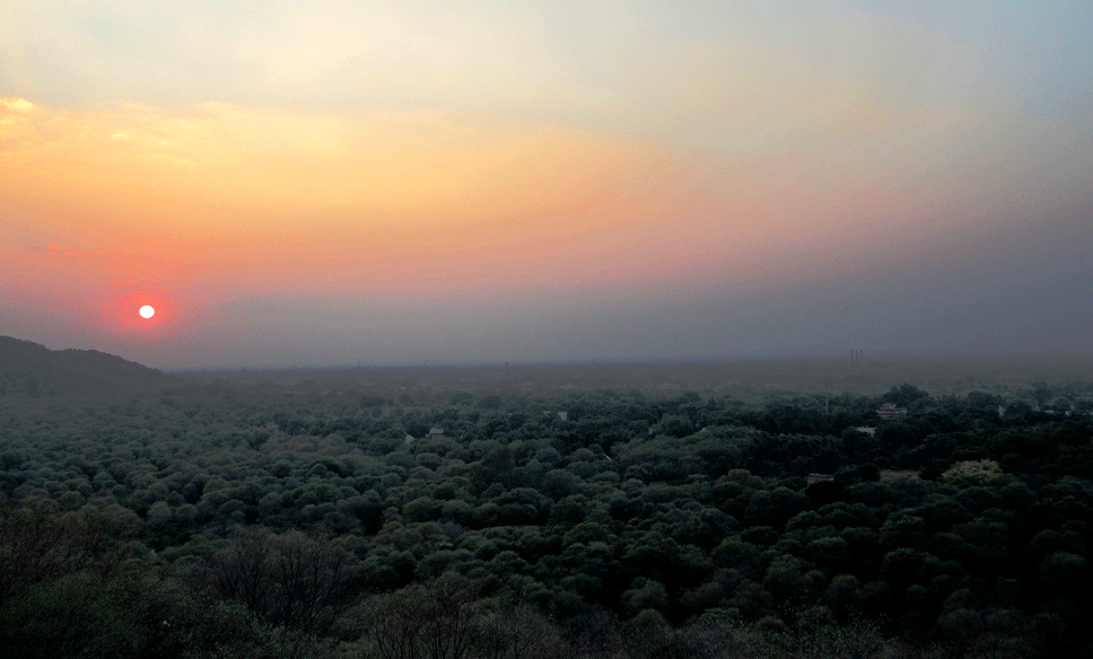 ak-taylor-travel-india-Ranthambore_National_Park_sunset.gif