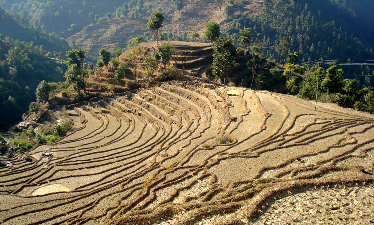 Agriculture_land_of_Nepal.jpg