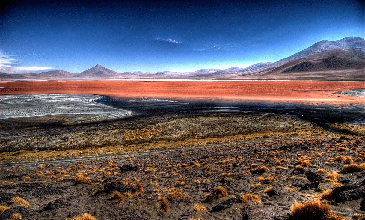 ak-taylor-travel-bolivia-Laguna_Colorada.gif