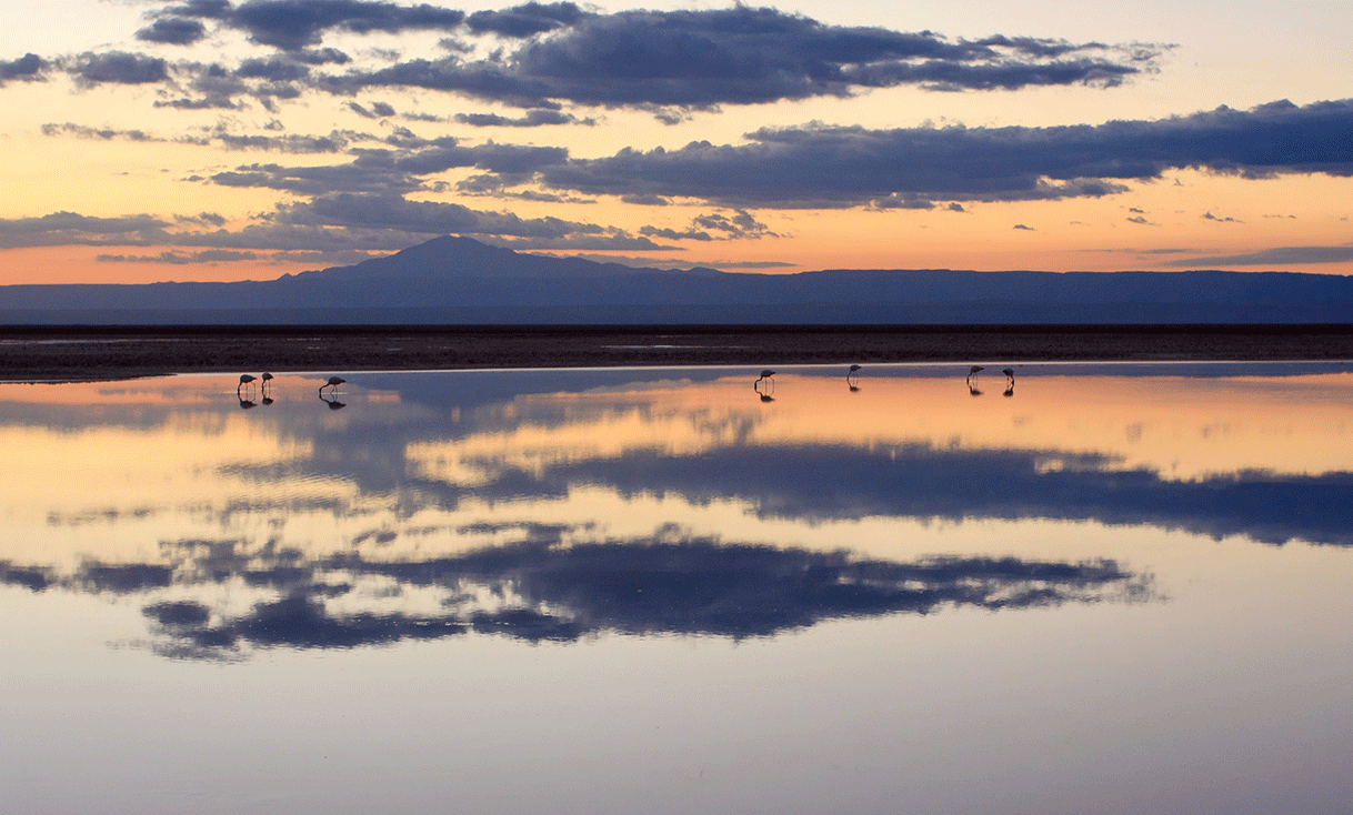 ak-taylor-travel-bolivia-salt-flats-sunset.gif