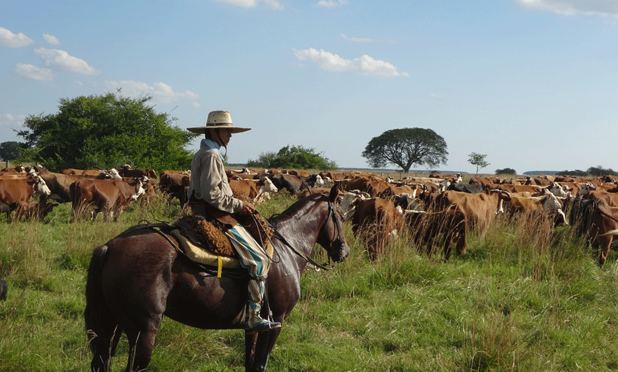 ak-taylor-travel-argentina-guacho.gif