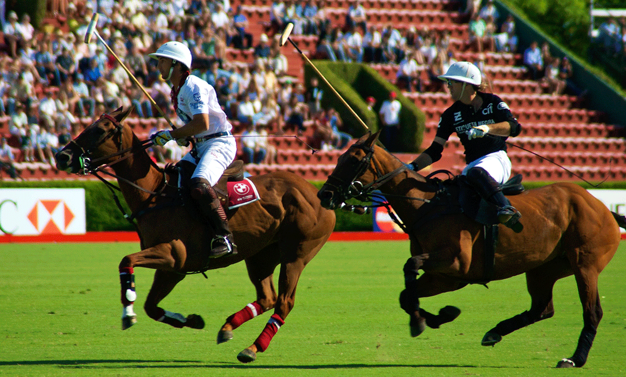 ak-taylor-travel-argentina-polo-club.gif