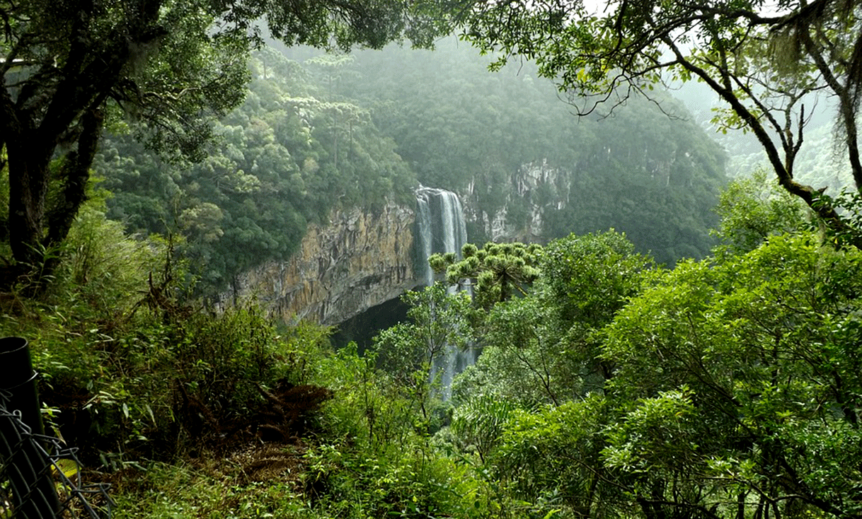 ak-taylor-travel-brazil-rainforest-waterfall.gif