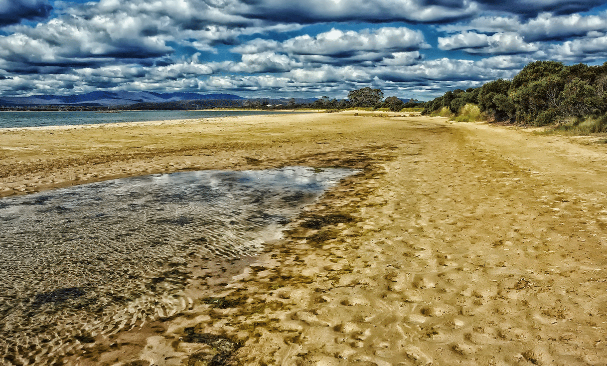 ak_taylor_australia_tasmania_beach.gif