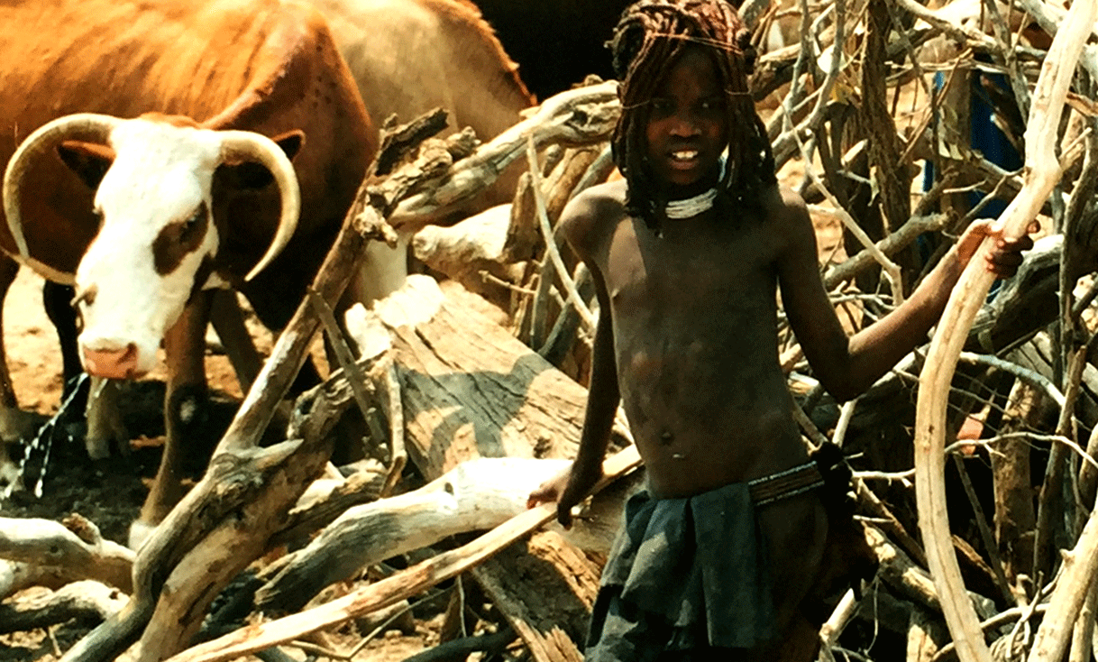 AK-Taylor-Safari-Namibia-Himba-Boy-Cattlel.gif