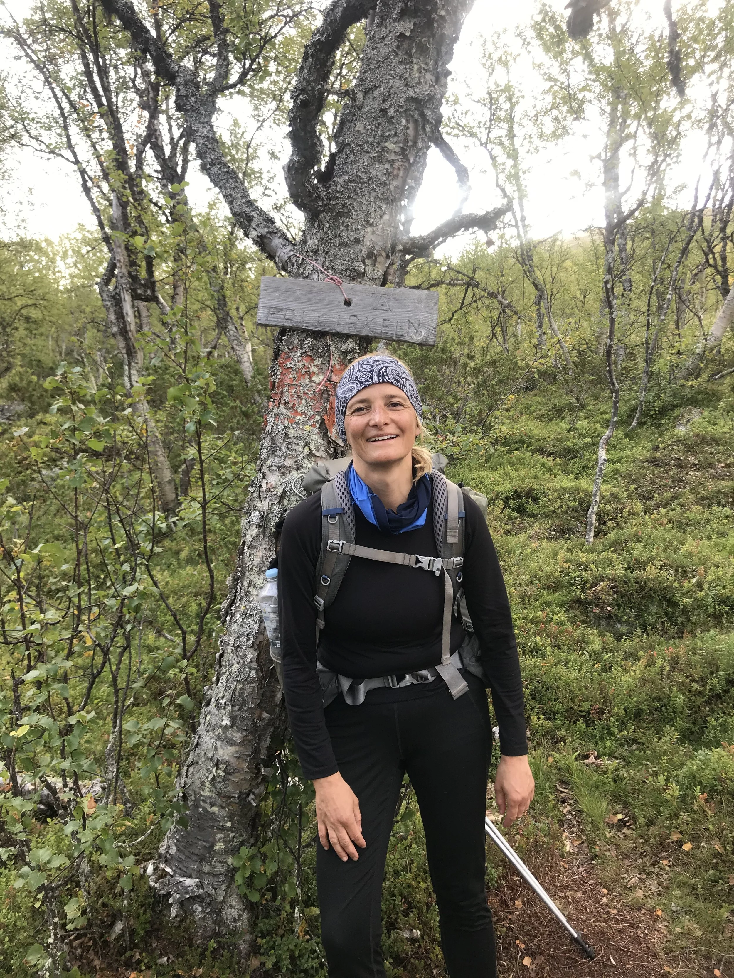 kungsleden 2020 polar circle.jpeg