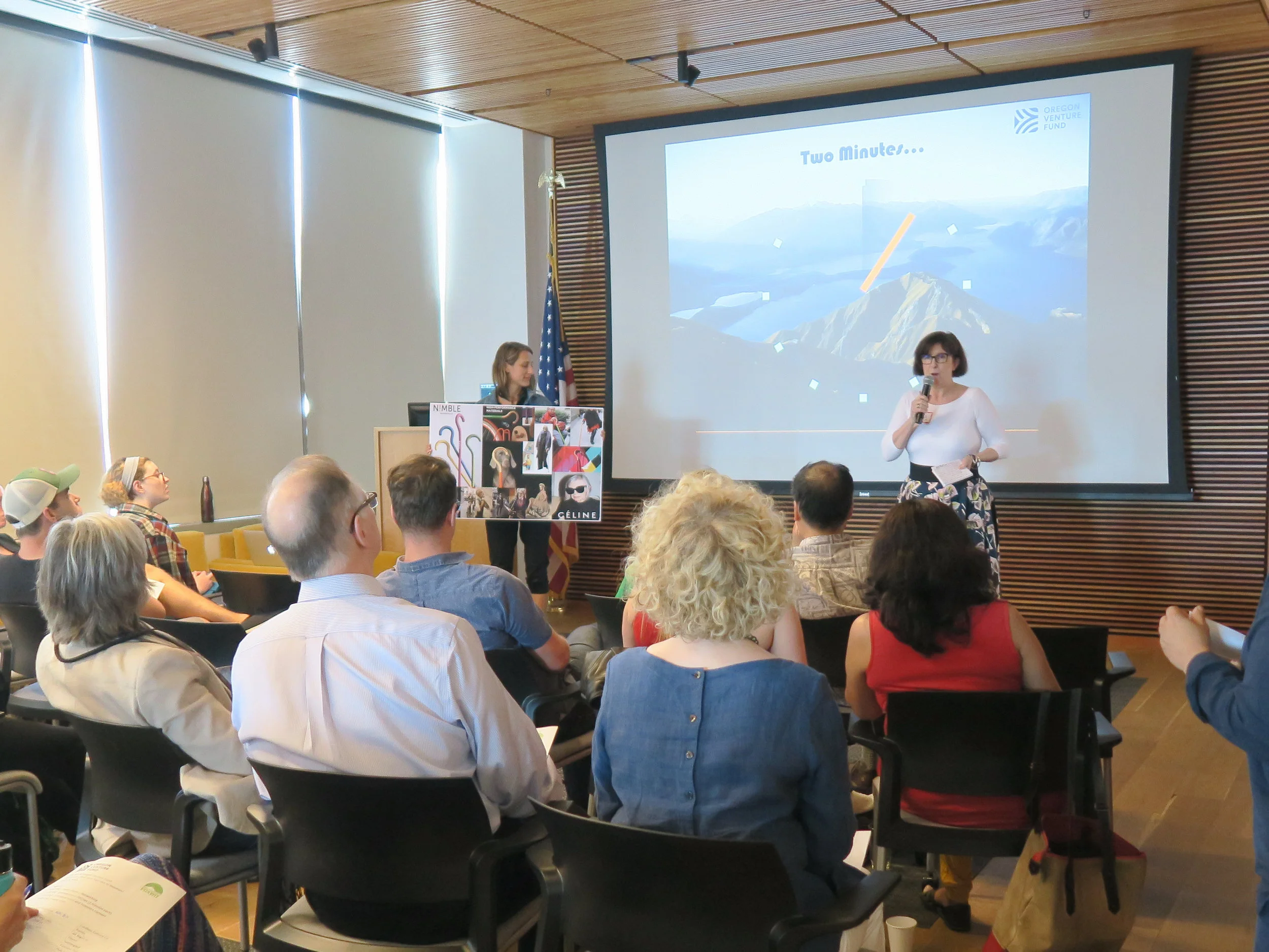 Speaker presenting to audience.jpg