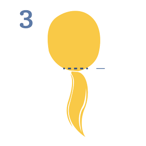 Step3.gif
