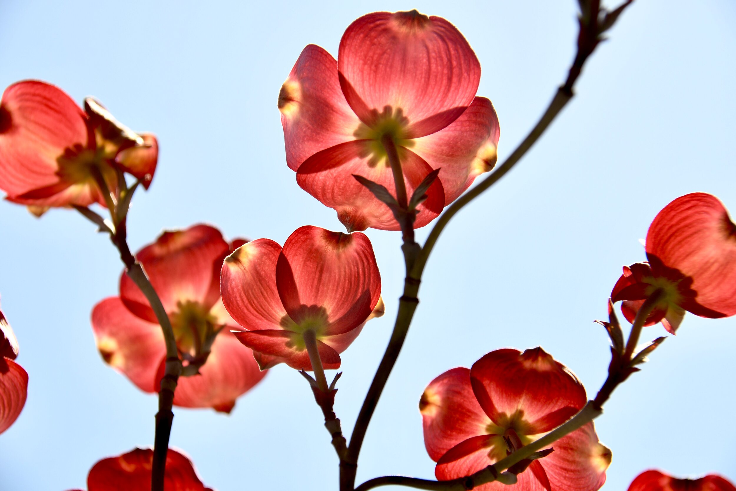 1930334B-E5B0-4B4E-88C8-68938D65B9B9_1_201_a.jpeg
