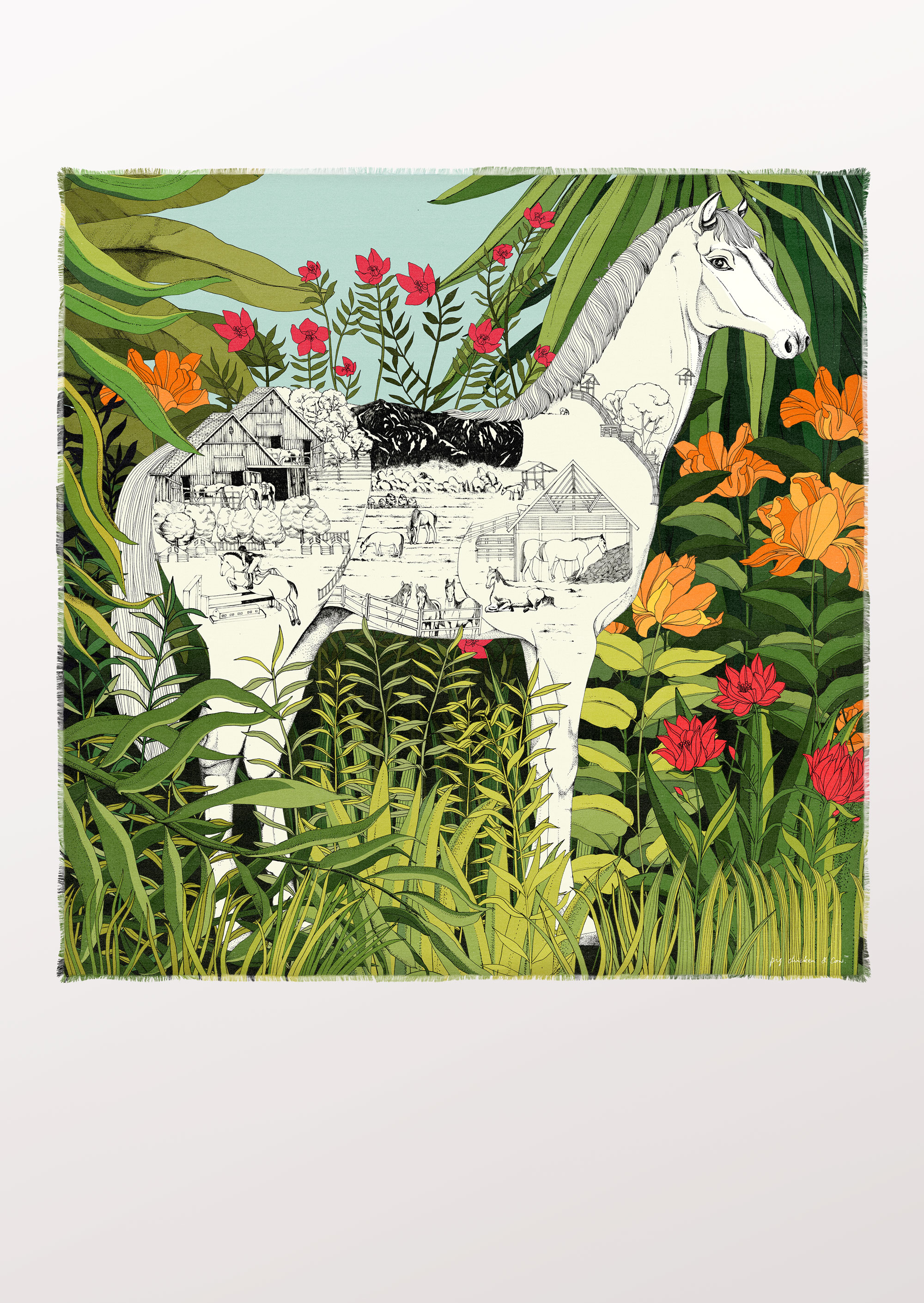 white-horse-cashmere.jpg