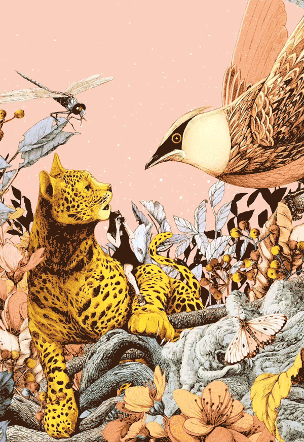 A Summer Study of Curiosity 90