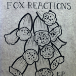 Fox_Reactions.png