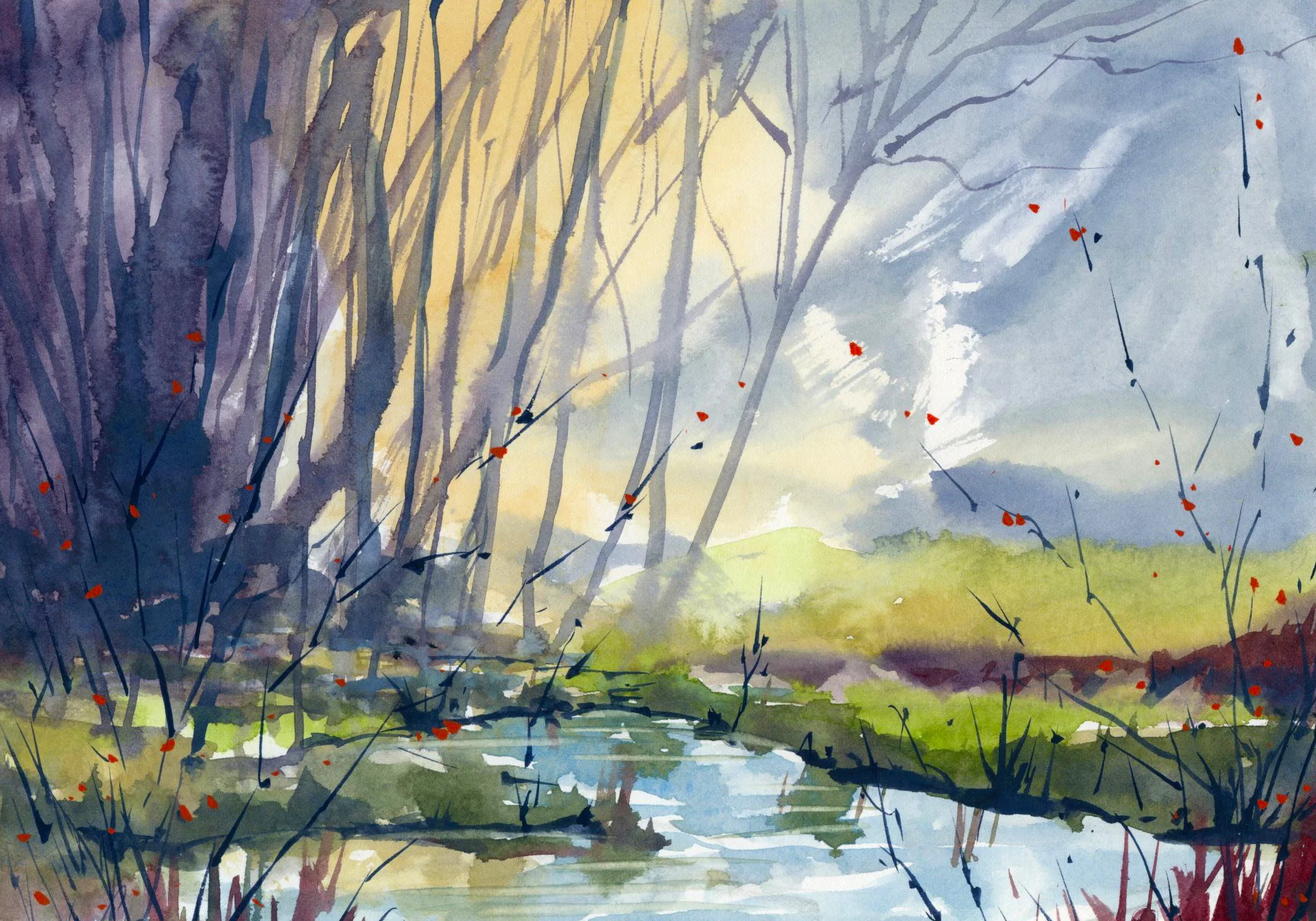 Spring Morning