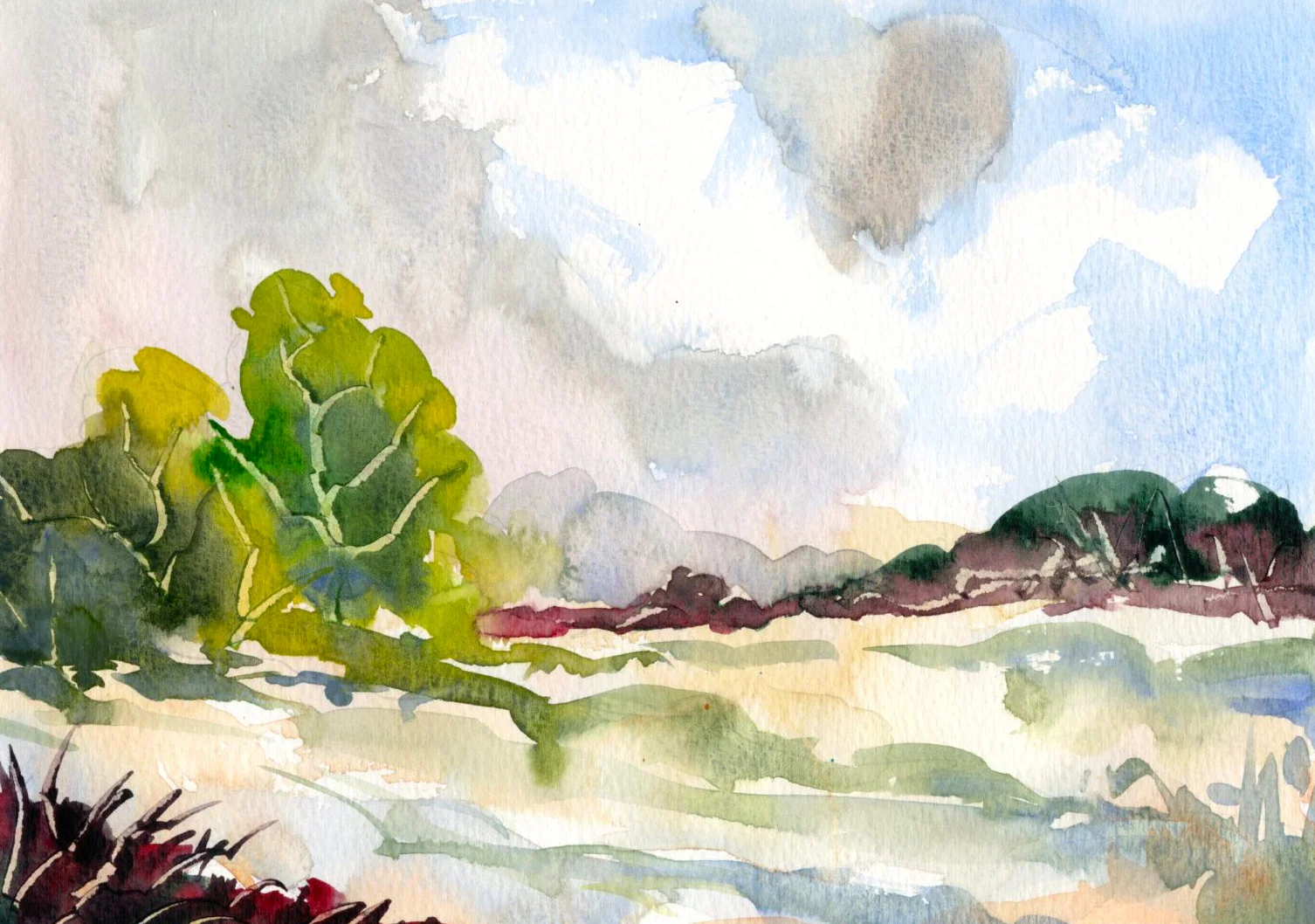 The Meadow