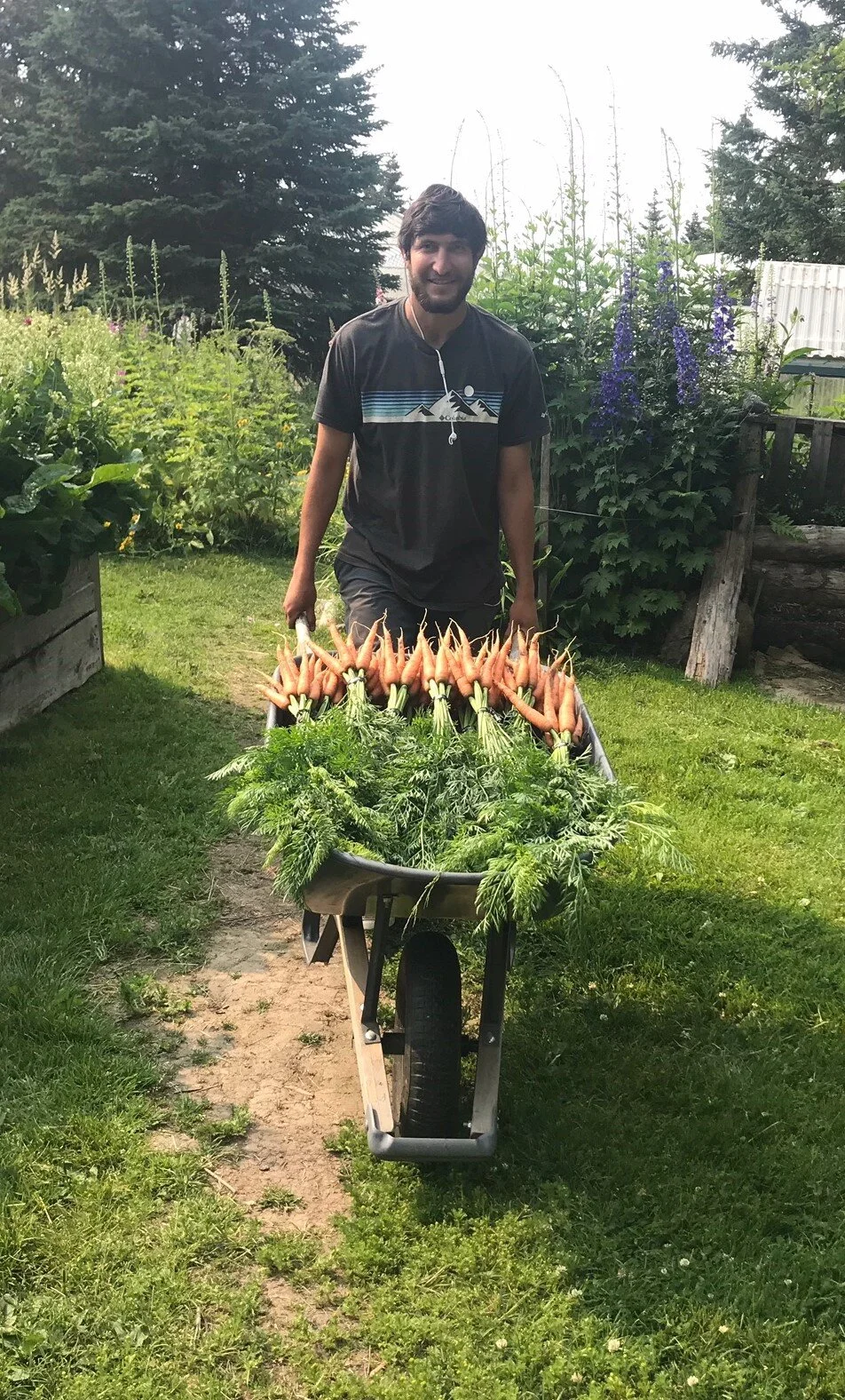 carrotsDre.jpg