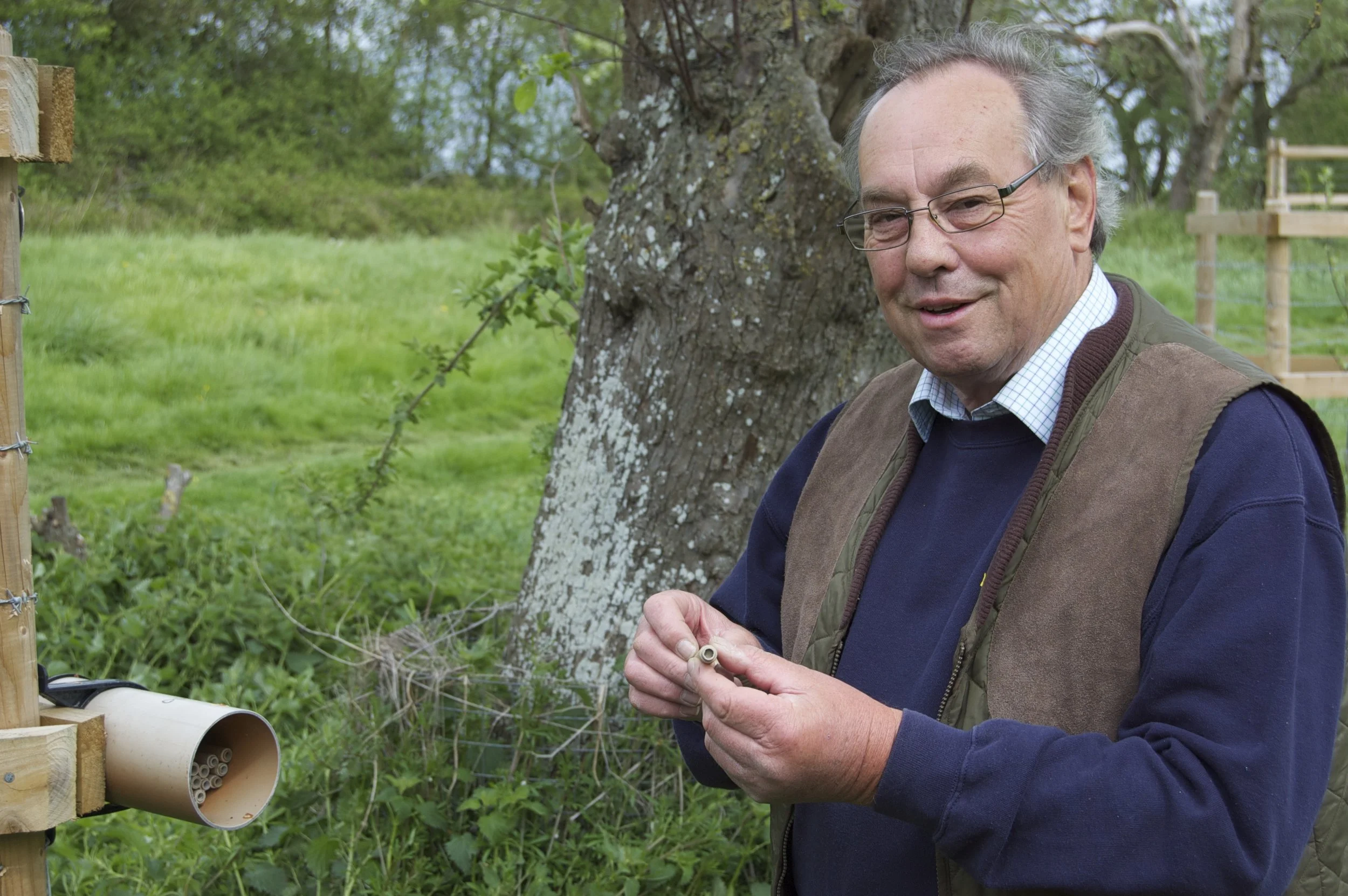 Chris Whittles in the Longney orchard, inspecting nesting tubes