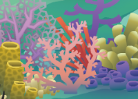 Staghorn Coral - top left