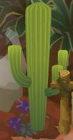Saguaro Cactus bottom right