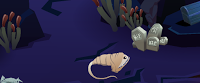 Gulper Eel