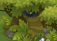 Victoria's Riflebird - Lower right, right of Wilson's.