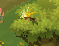 Greater - Bottom right, hides in tree tops.