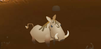 Warthog (runs and hides)
