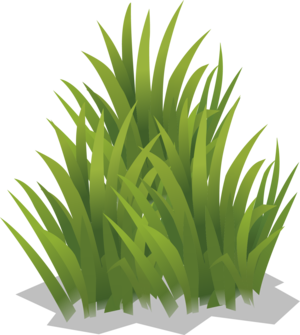 grass.png