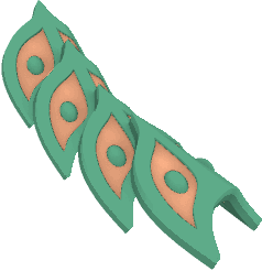 mystic armor tail.png
