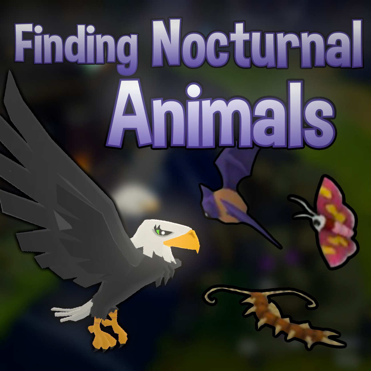 Finding Nocturnal Animals 
