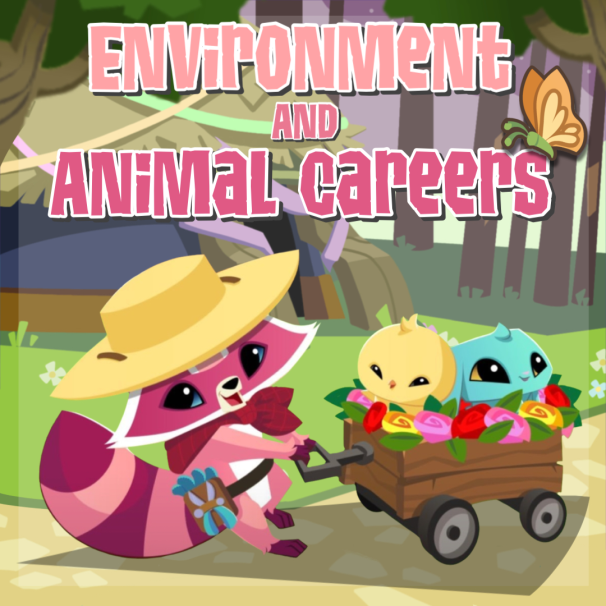 Animal and Environmental Jobs In The Real World