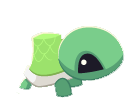 turtle.webp