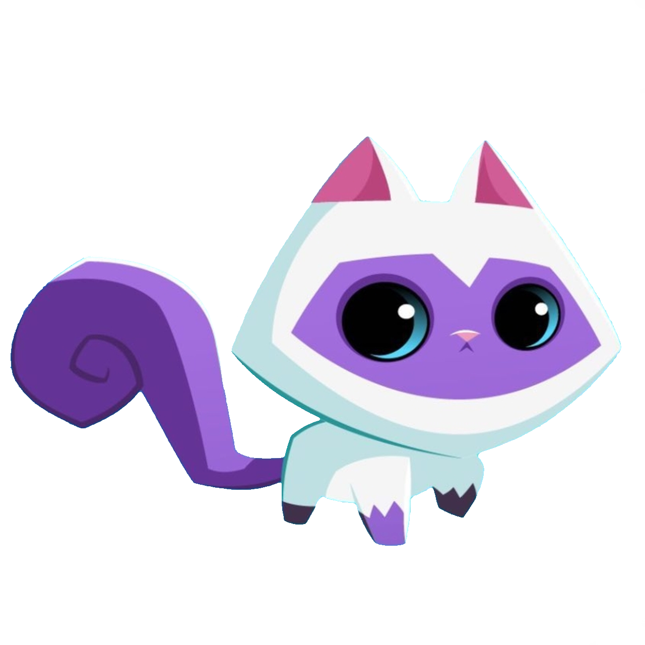 Himalayan+kitten.webp