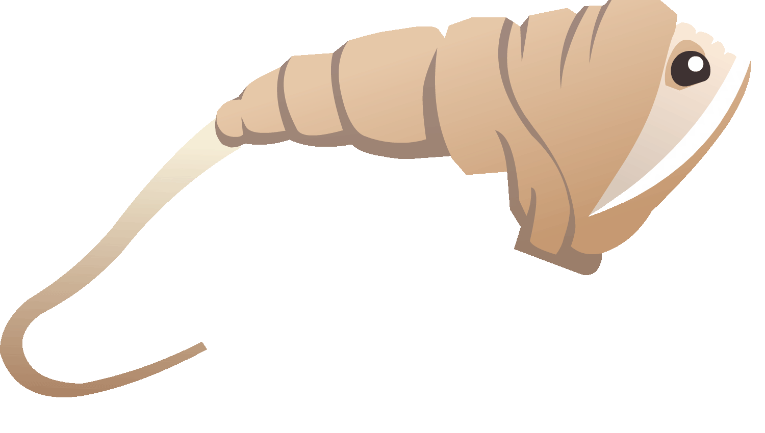 Fish-thing.gif
