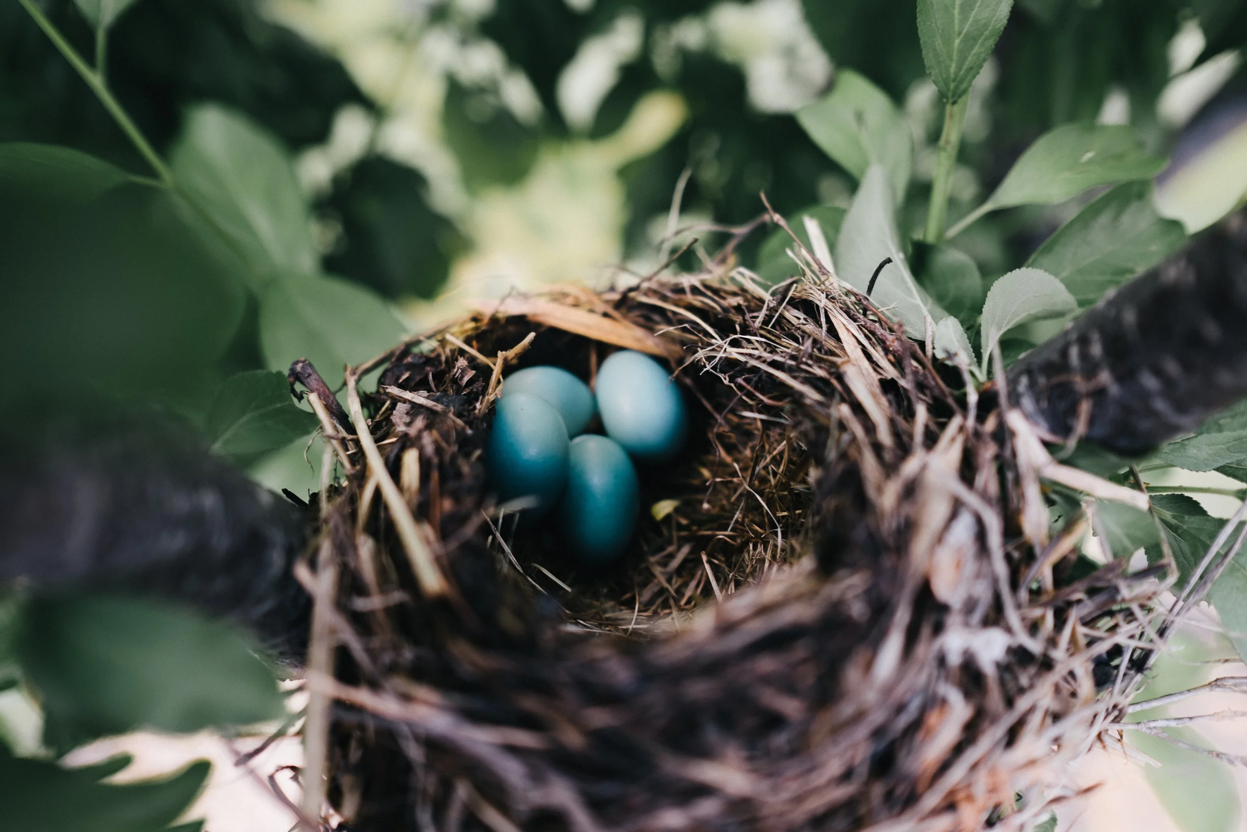 Photo by Tanja Heffner on Unsplash