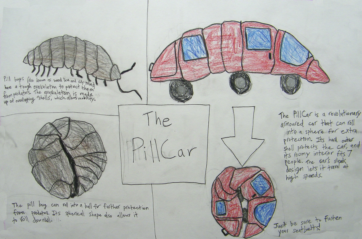 As an introduction to biomimicry, students looked at many inventions that were inspired by nature. They then came up with their own inventions based on chosen natural features.