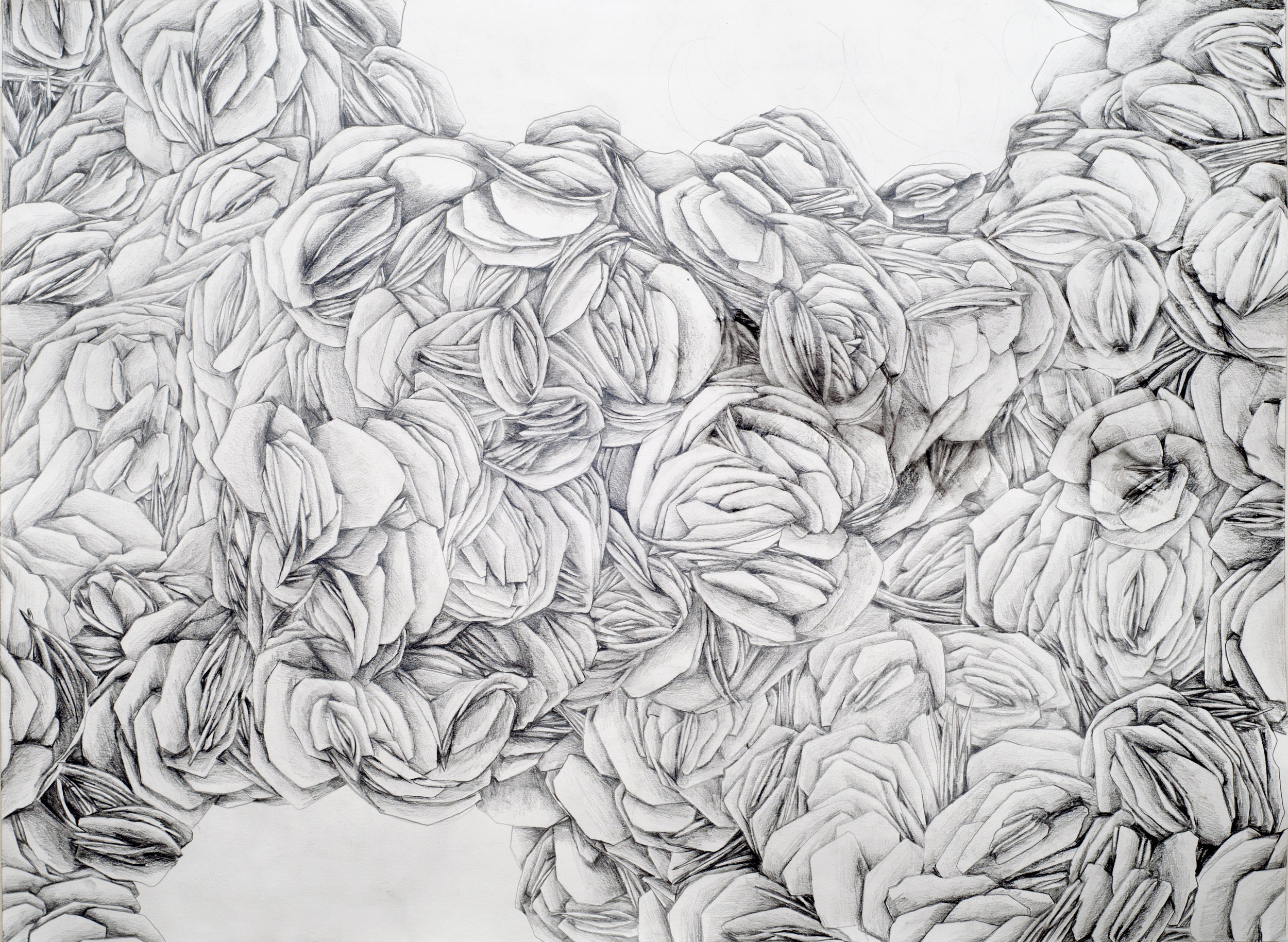 100x Hematite water-soluble graphite pencil on paper, 22" x 30" 2014