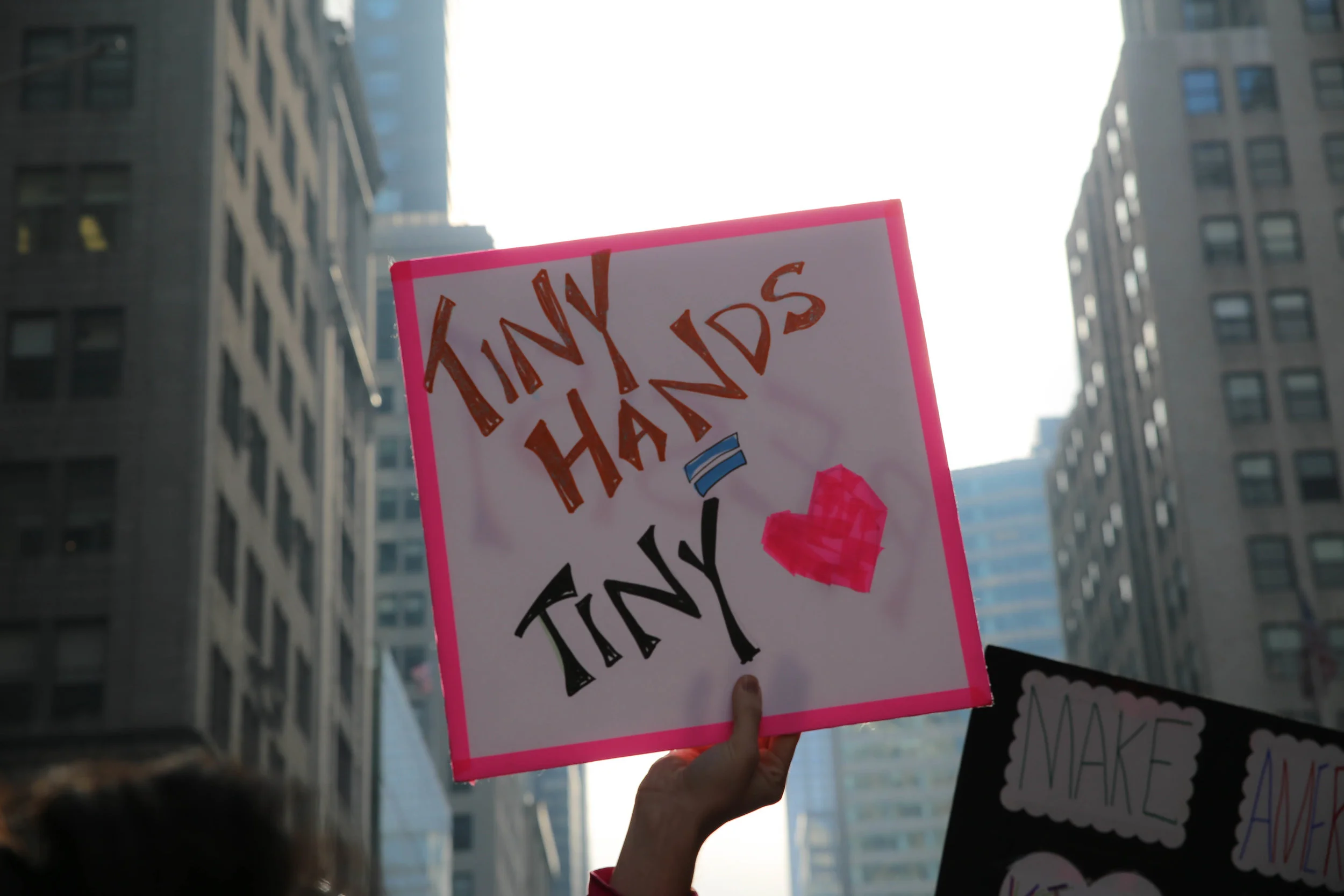 nycmarch (1 of 1)-20.jpg